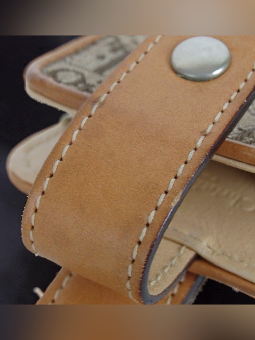 DIOR Trotter Mini Case ππ₯ - Picture 9 of 11